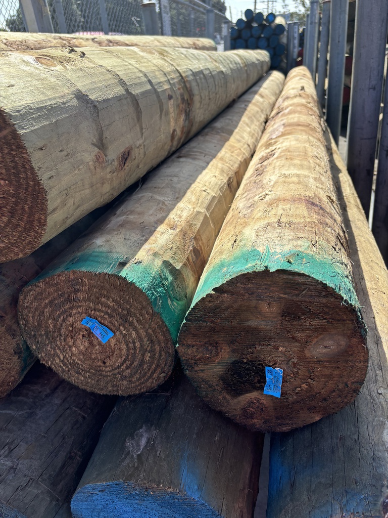 POLE BUILDING H5 SED 200-224 x 5.4MTRS