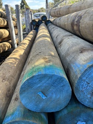 [SED27570HD] POLE BUILDING H5 SED 275-299 X 7.0M HIGH DENSITY