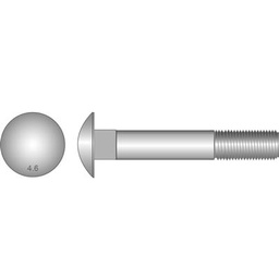 [100828] BOLT COACH M8 x 75mm GALV (WITH NUT)