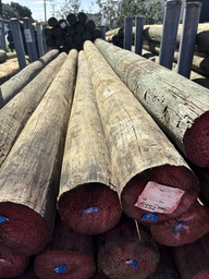 [SED17570] POLE BUILDING H5 SED 175-199 x 7.0MTRS